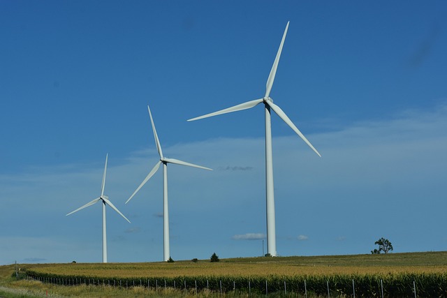 Die weltweiten Trends in der Erneuerbaren Energie 2023